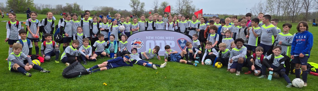 Building Pathways: A Spring Update from New York West ODP